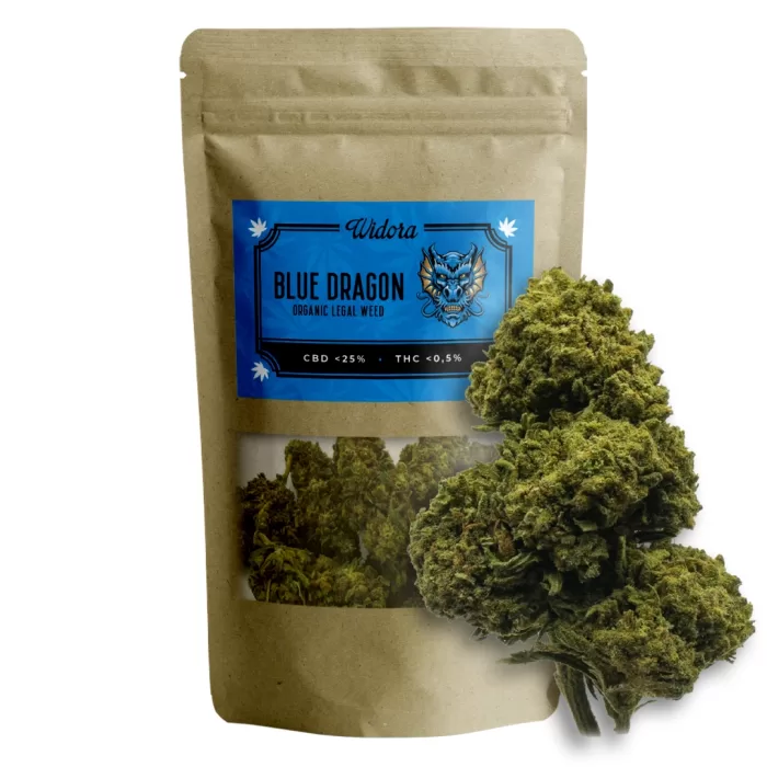 Blue Dragon